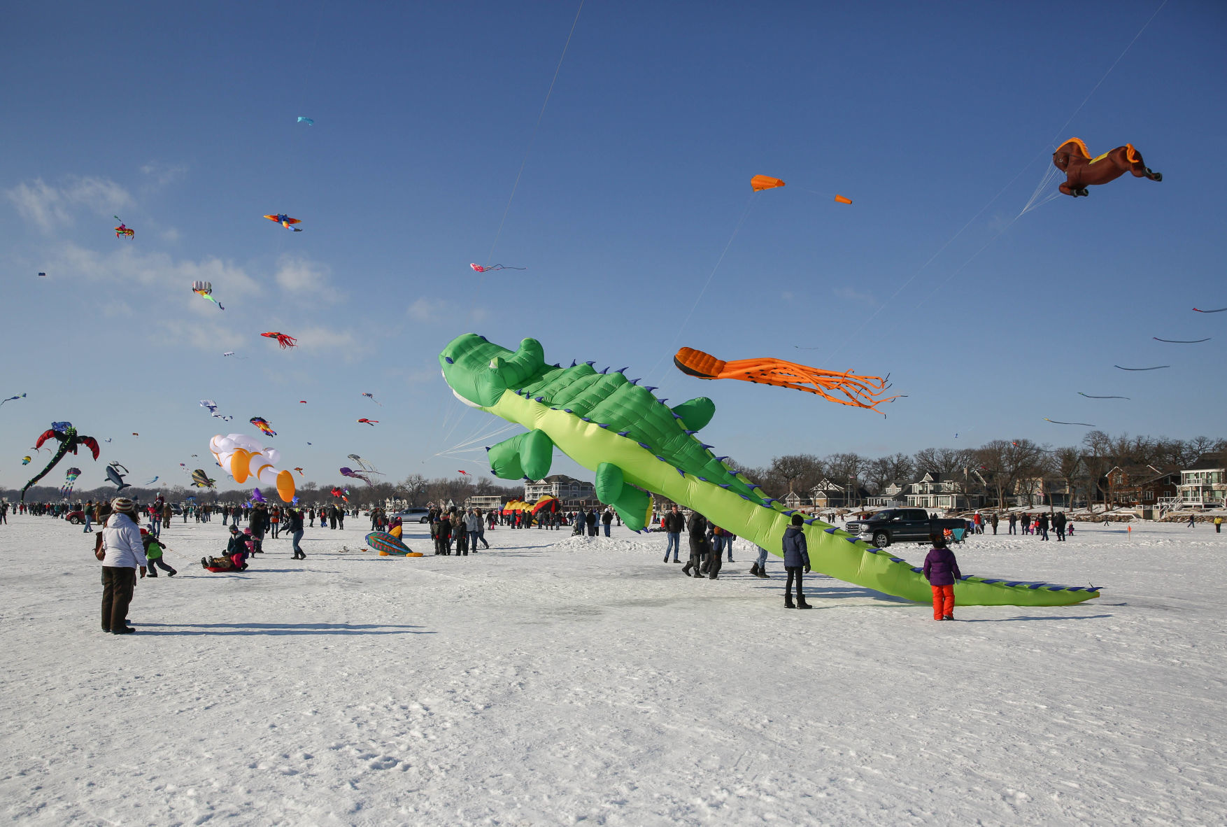 Color the Wind kite festival 02-15-2020 (3).jpg